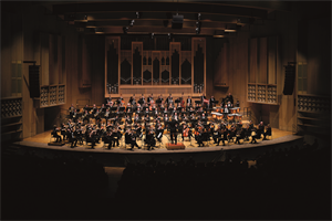 Foto für Musiksommer: Bruckner Orchester Linz
